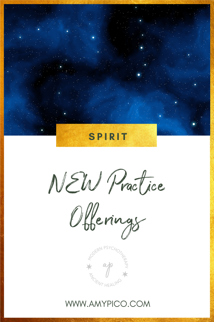 NEW Practice Offerings: South Carolina, insurance, and single sessions