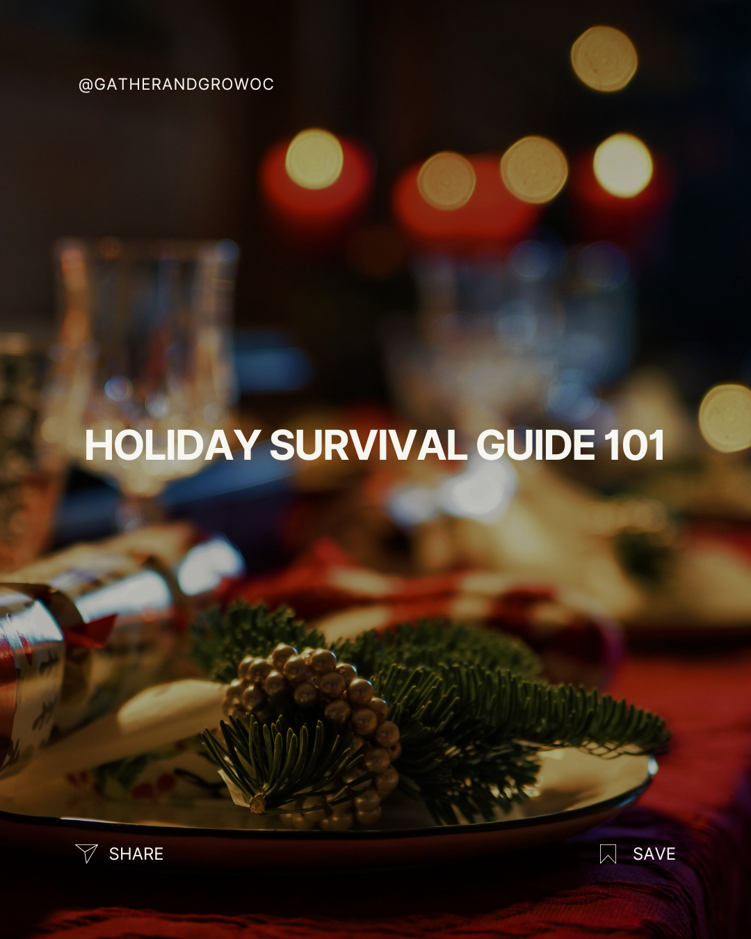 Holiday Survival Guide 101