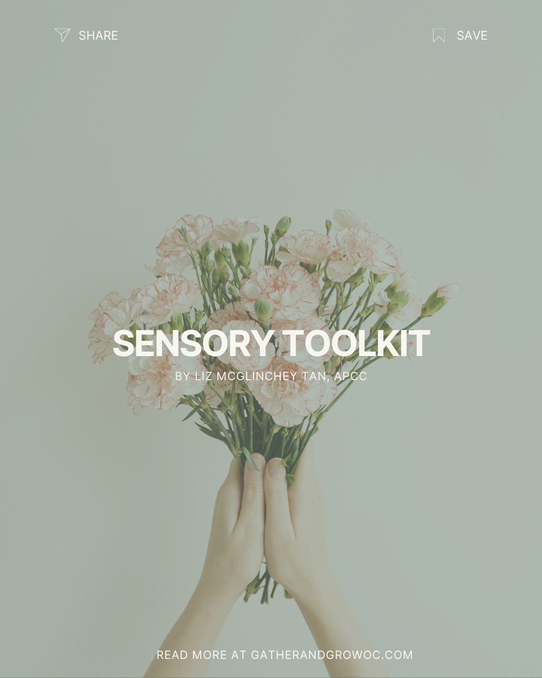 Sensory Toolkit