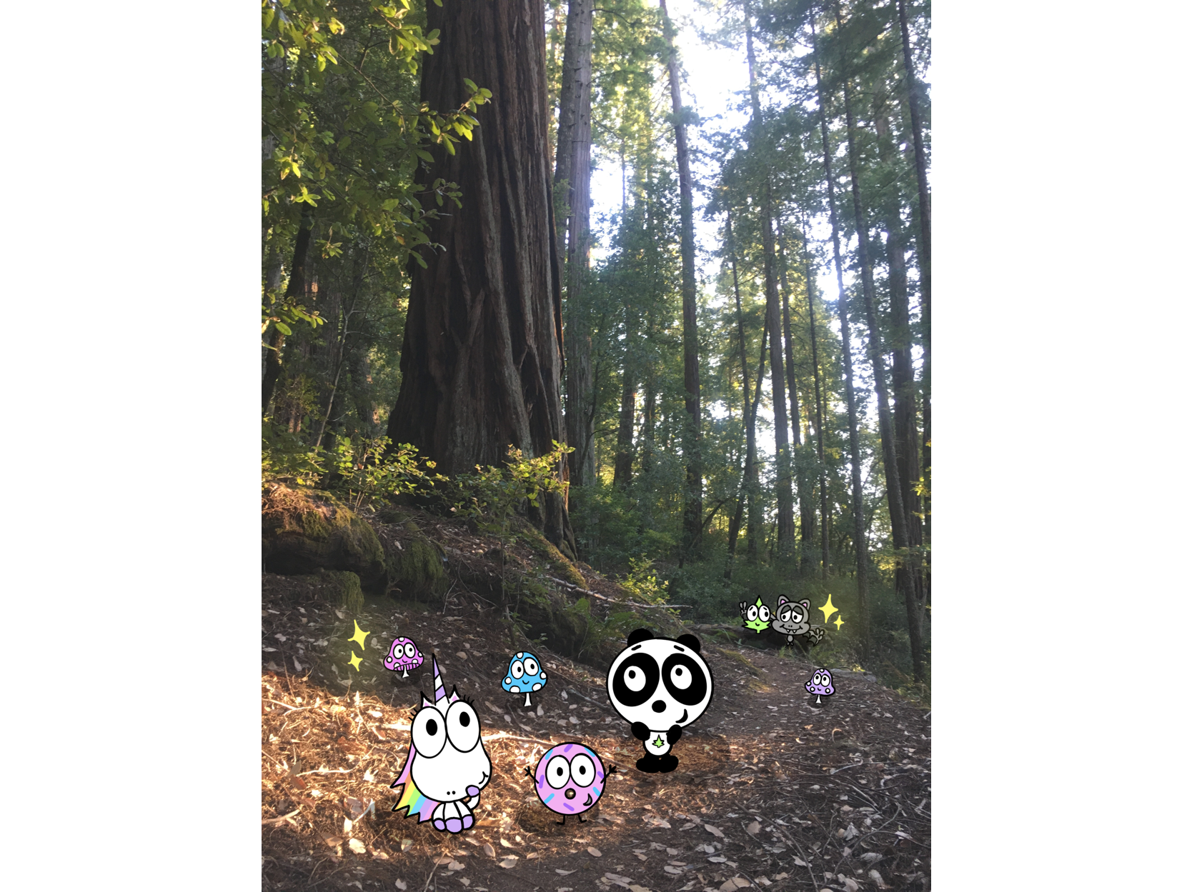 Untitled_Artwork 32.png