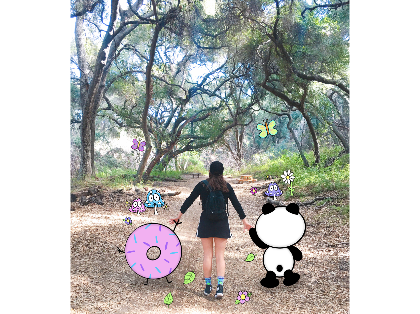 Untitled_Artwork 33.png