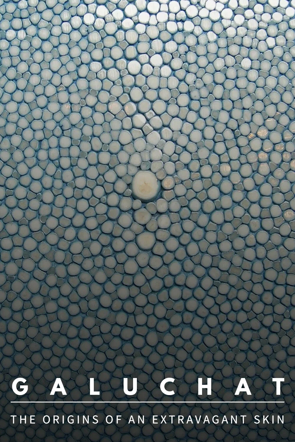 Galuchat, the origins of an extravagant skin