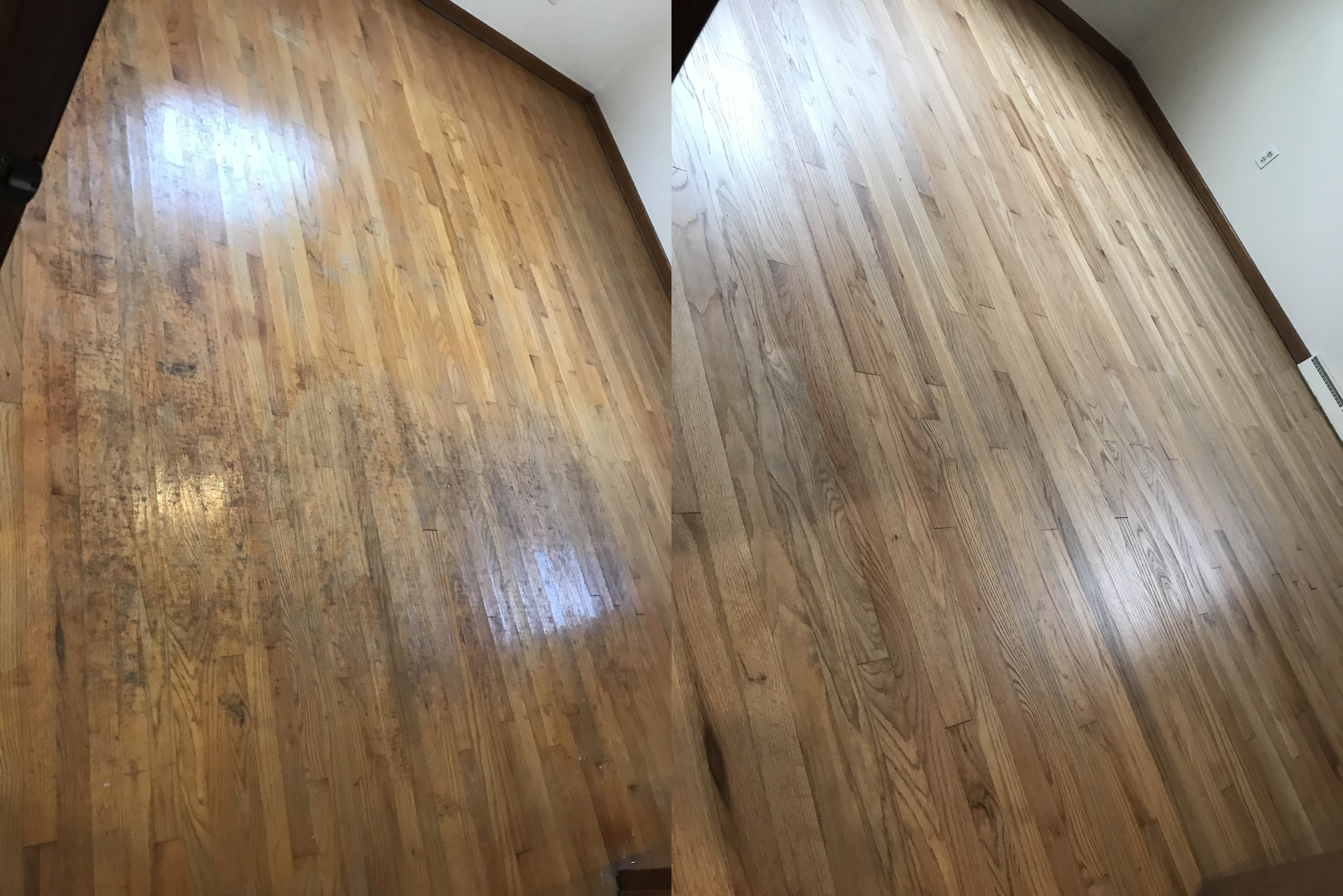 Project Gallery Latest Hardwood Flooring Projects Kalamazoo MI and Surrounding Areas — Wood
