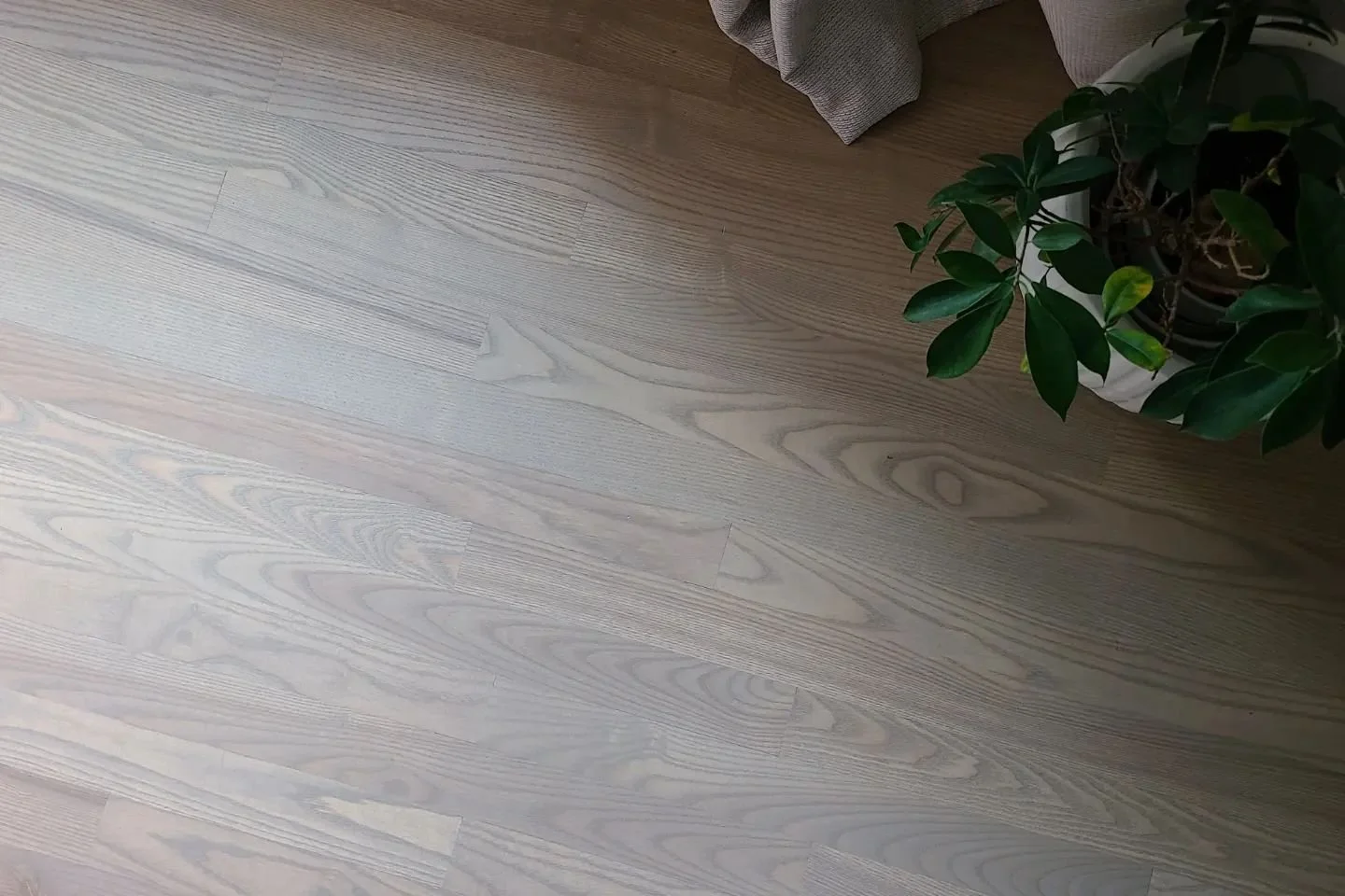 Bona Birch DriFast Stain.  Wood Floor Refinishing