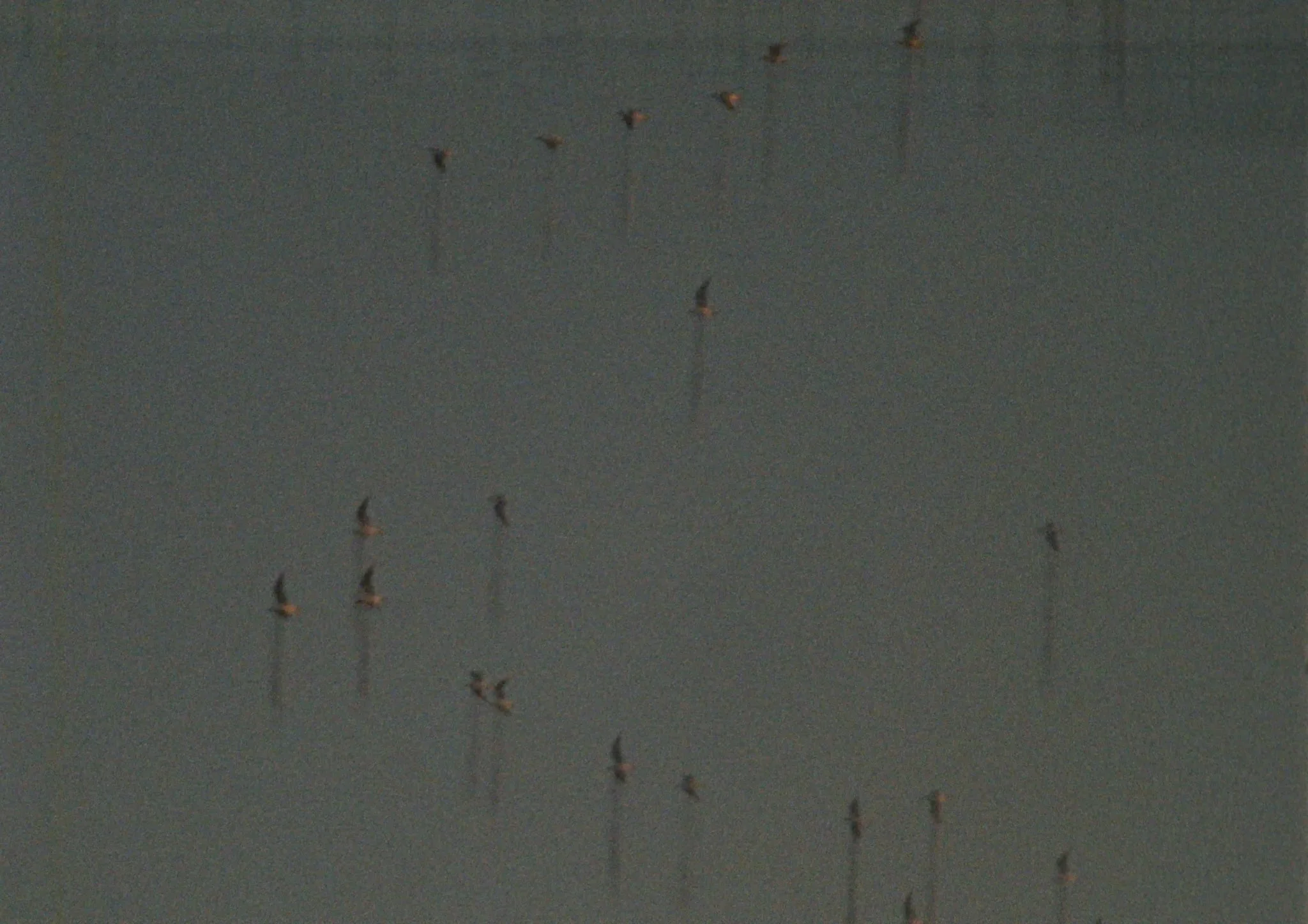 BLUR EDIT V2.2 H.264.00_00_40_16.Still011.jpg