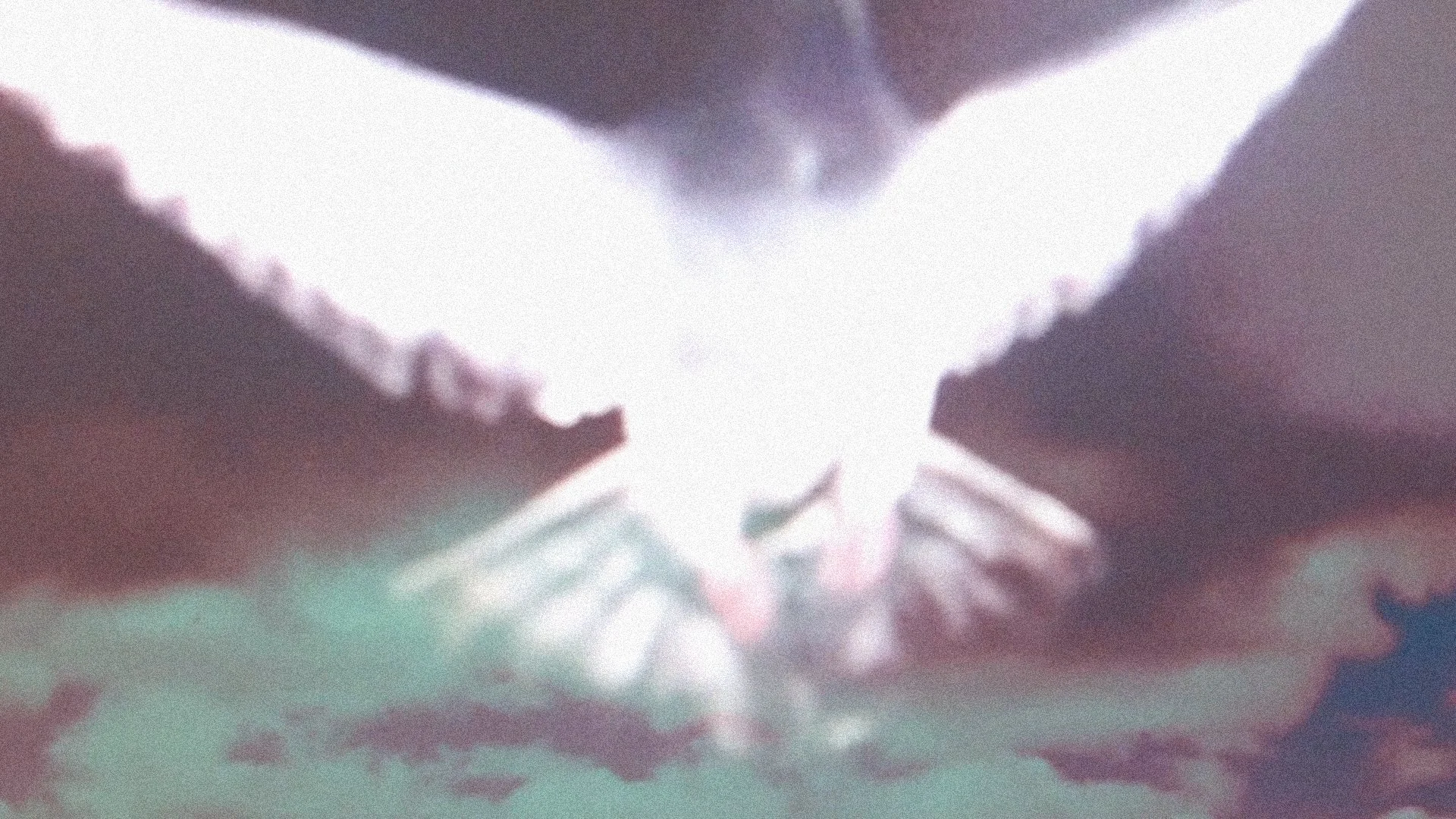 IMGA0149.00_21_11_06.Still004.jpg