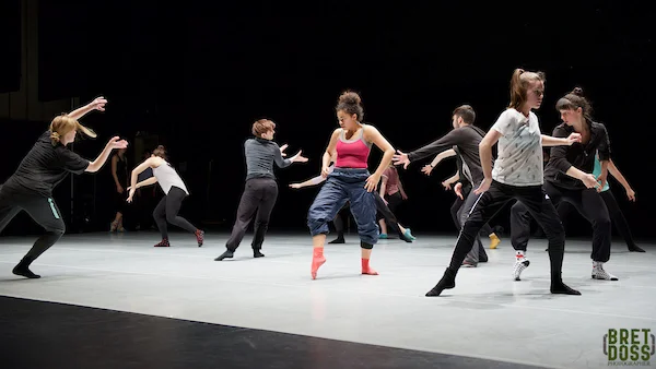 Experience Dance Program:  Bellevue College