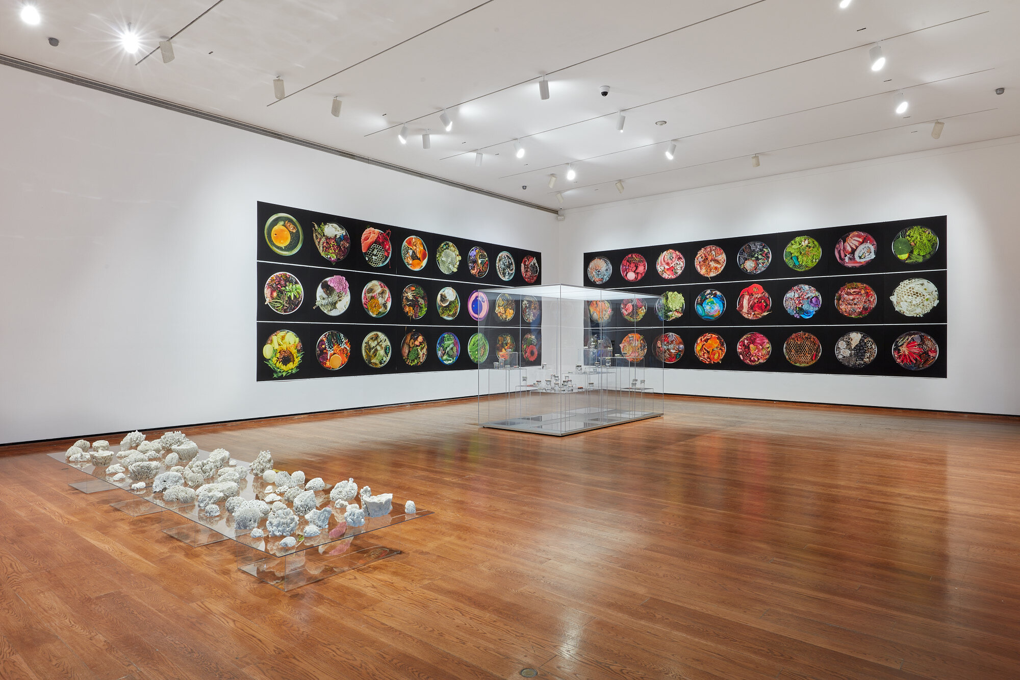 190209_Suzanne_Anker_1.5_Celsius_Everson_Museum_122_JPEG_Small.jpg