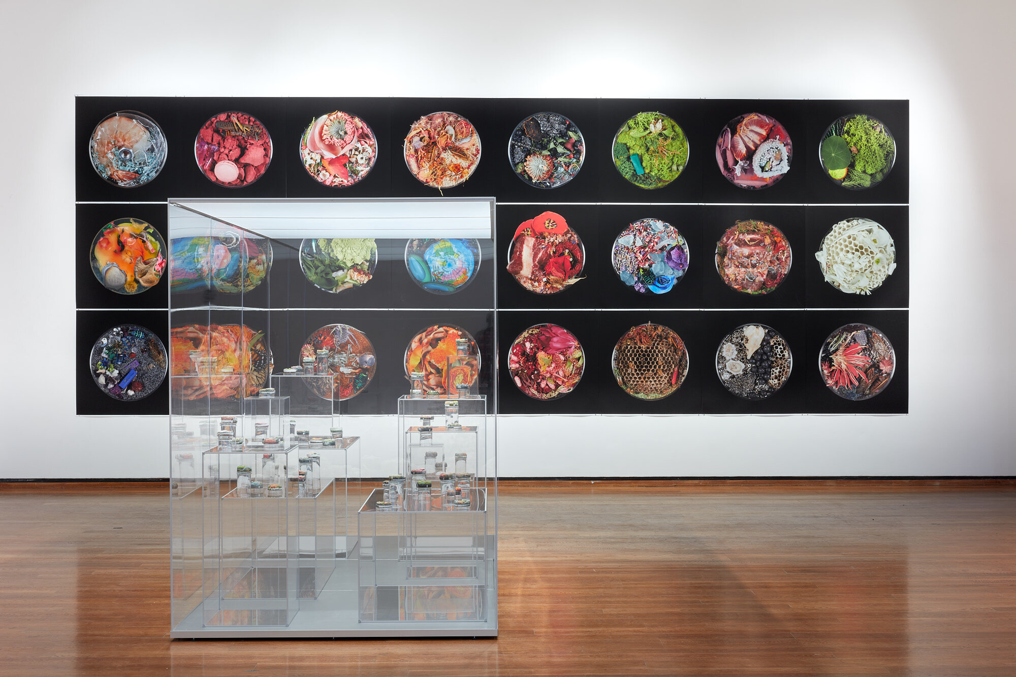 190209_Suzanne_Anker_1.5_Celsius_Everson_Museum_165_JPEG_Small.jpg