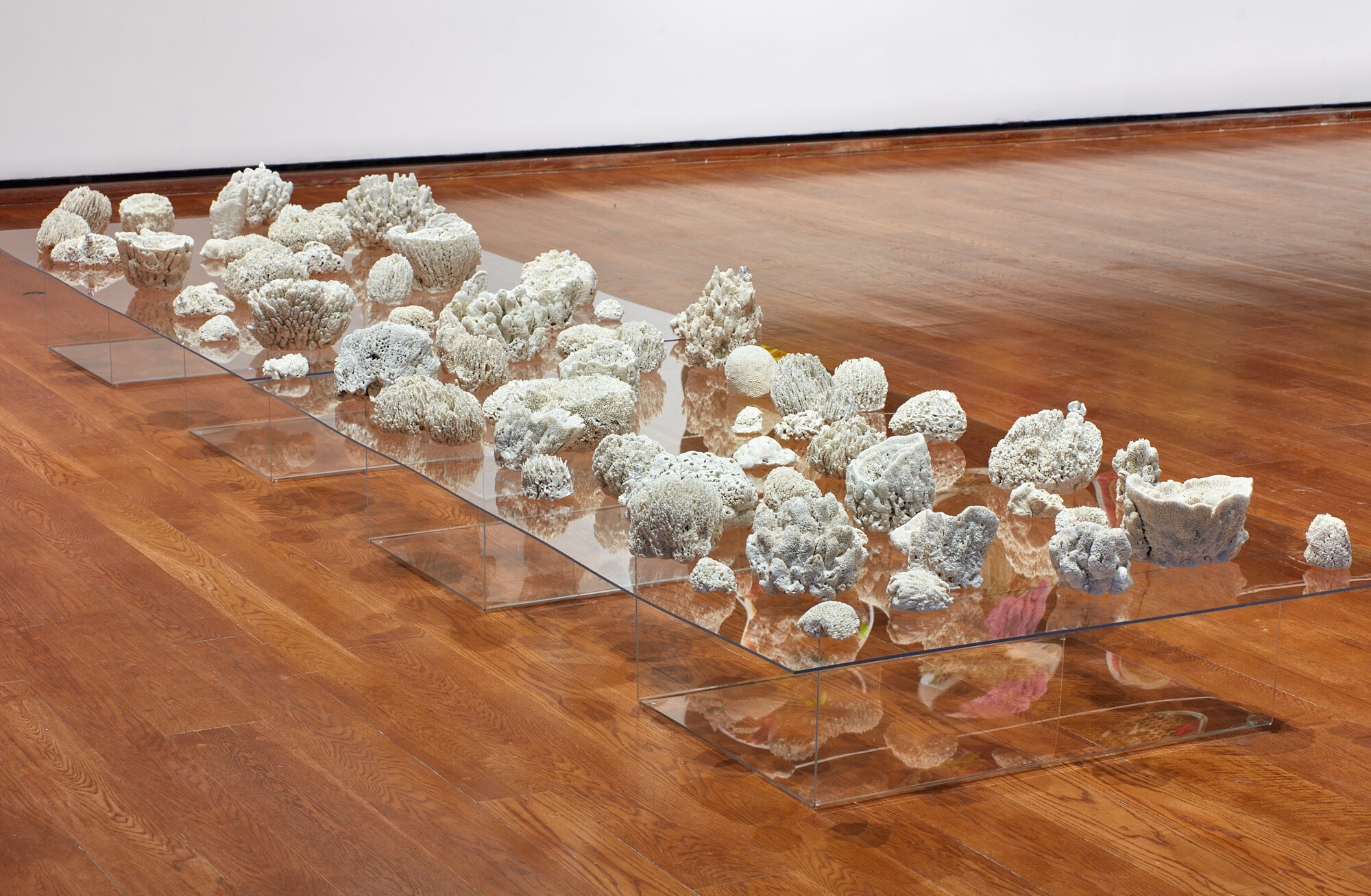 190209_Suzanne_Anker_1.5_Celsius_Everson_Museum_086_JPEG_Small.jpg