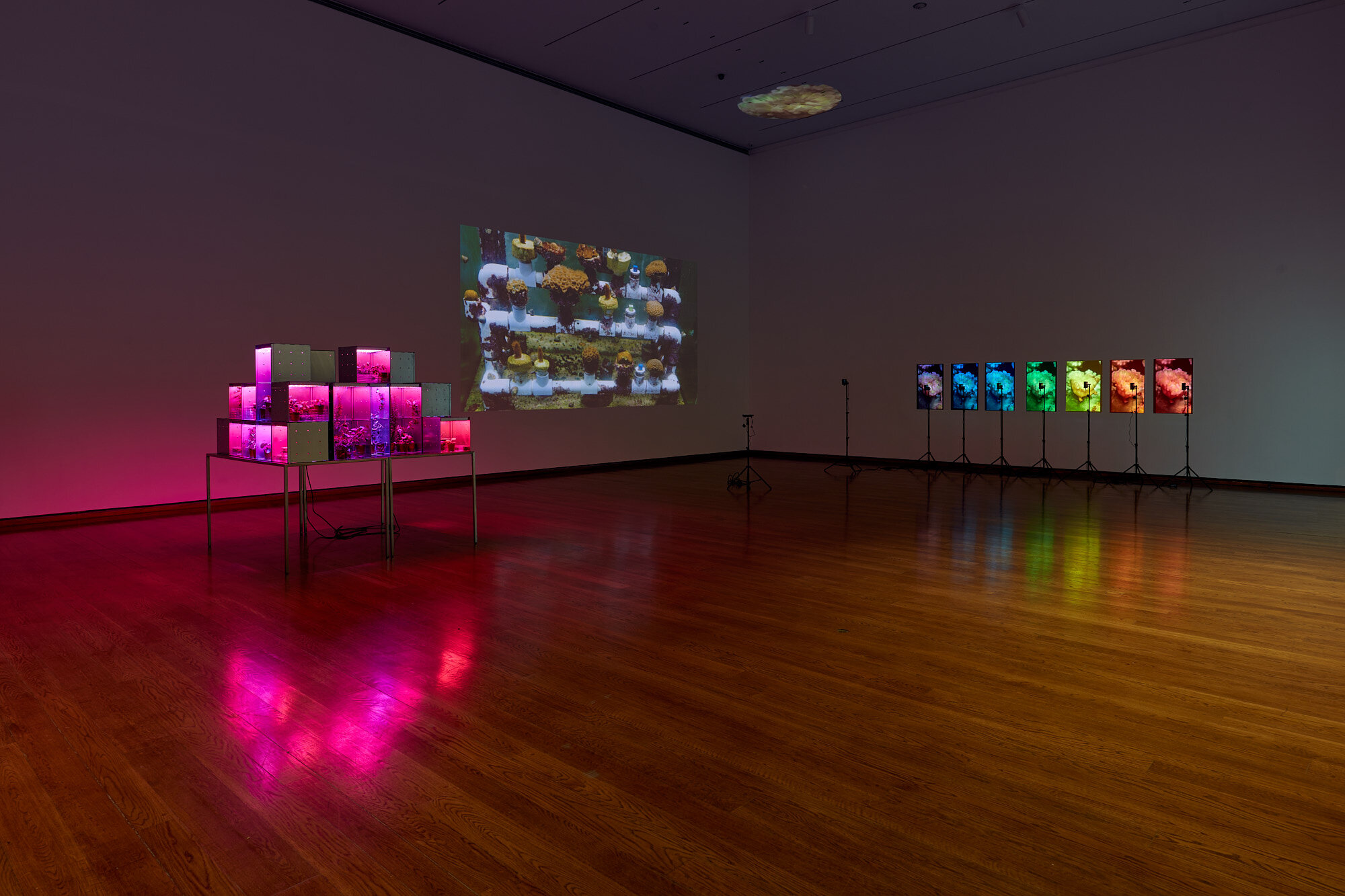 190209_Suzanne_Anker_1.5_Celsius_Everson_Museum_278_JPEG_Small.jpg
