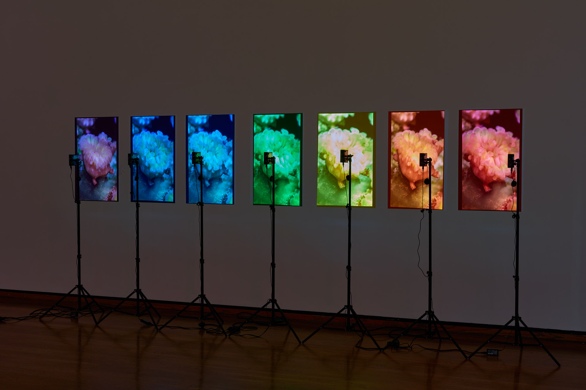 190209_Suzanne_Anker_1.5_Celsius_Everson_Museum_304_JPEG_Small.jpg