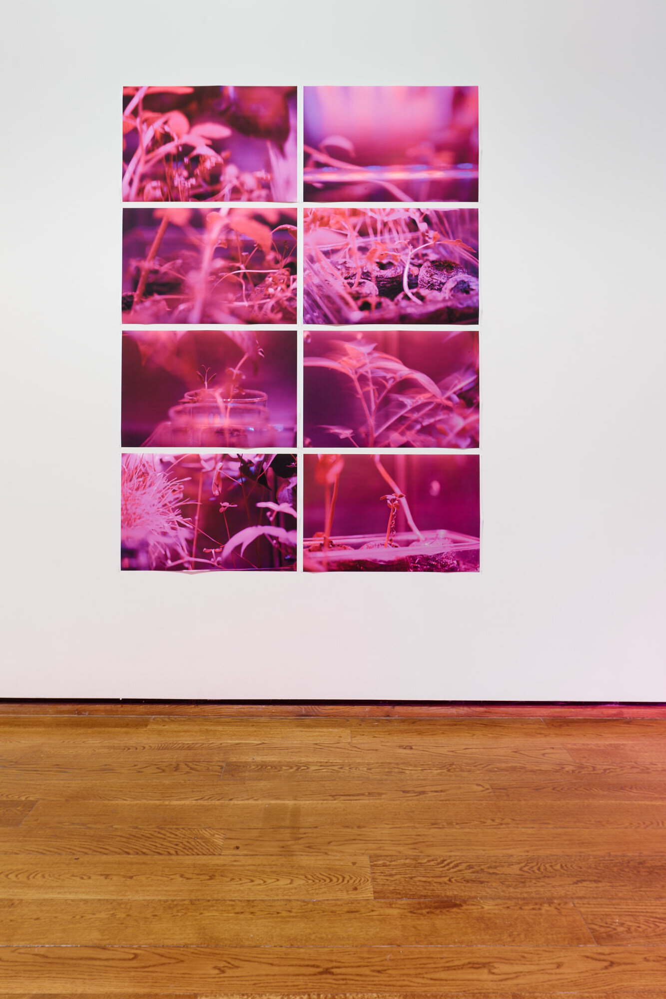 190209_Suzanne_Anker_1.5_Celsius_Everson_Museum_320_JPEG_Small.jpg