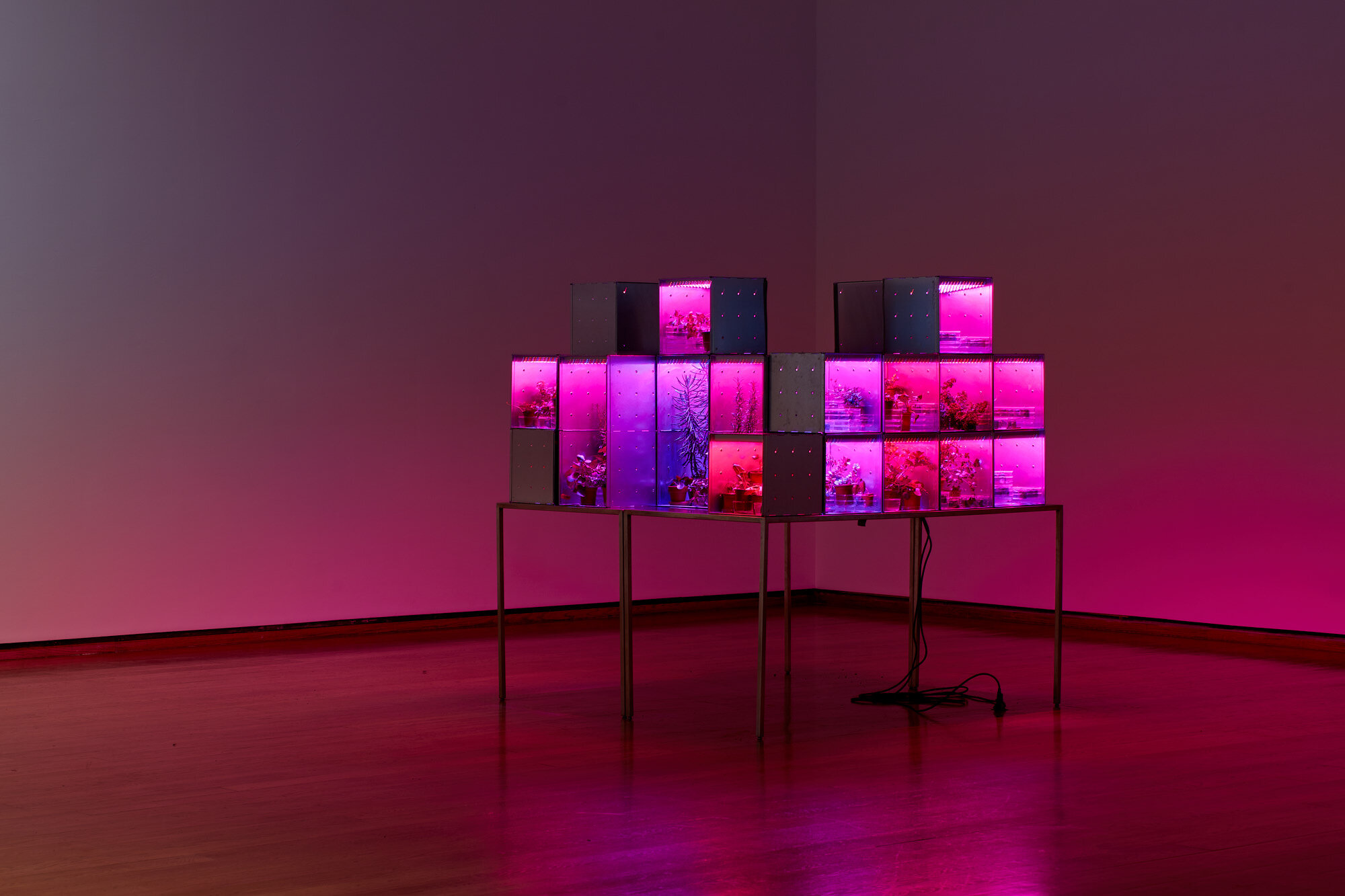190209_Suzanne_Anker_1.5_Celsius_Everson_Museum_342_JPEG_Small.jpg