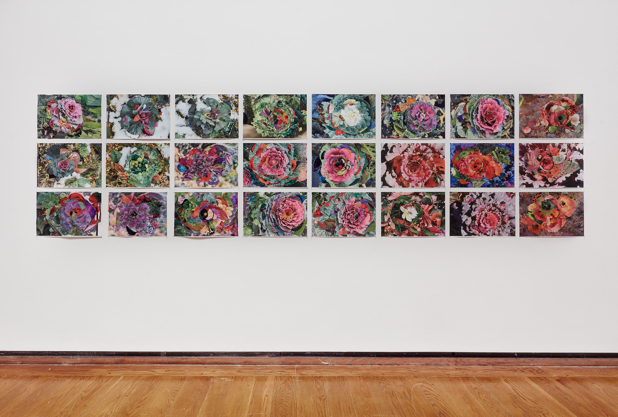 190209_Suzanne_Anker_1.5_Celsius_Everson_Museum_254_JPEG_Small.jpg