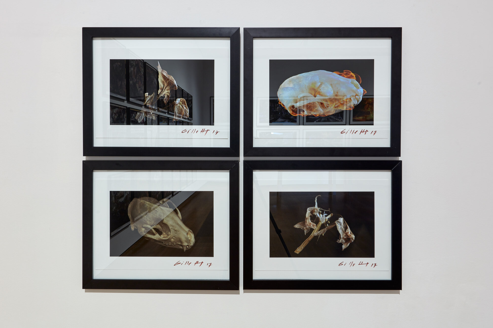 190209_Frank_Gillette_Excavations_and_Banquets_025_JPEG_Small.jpg