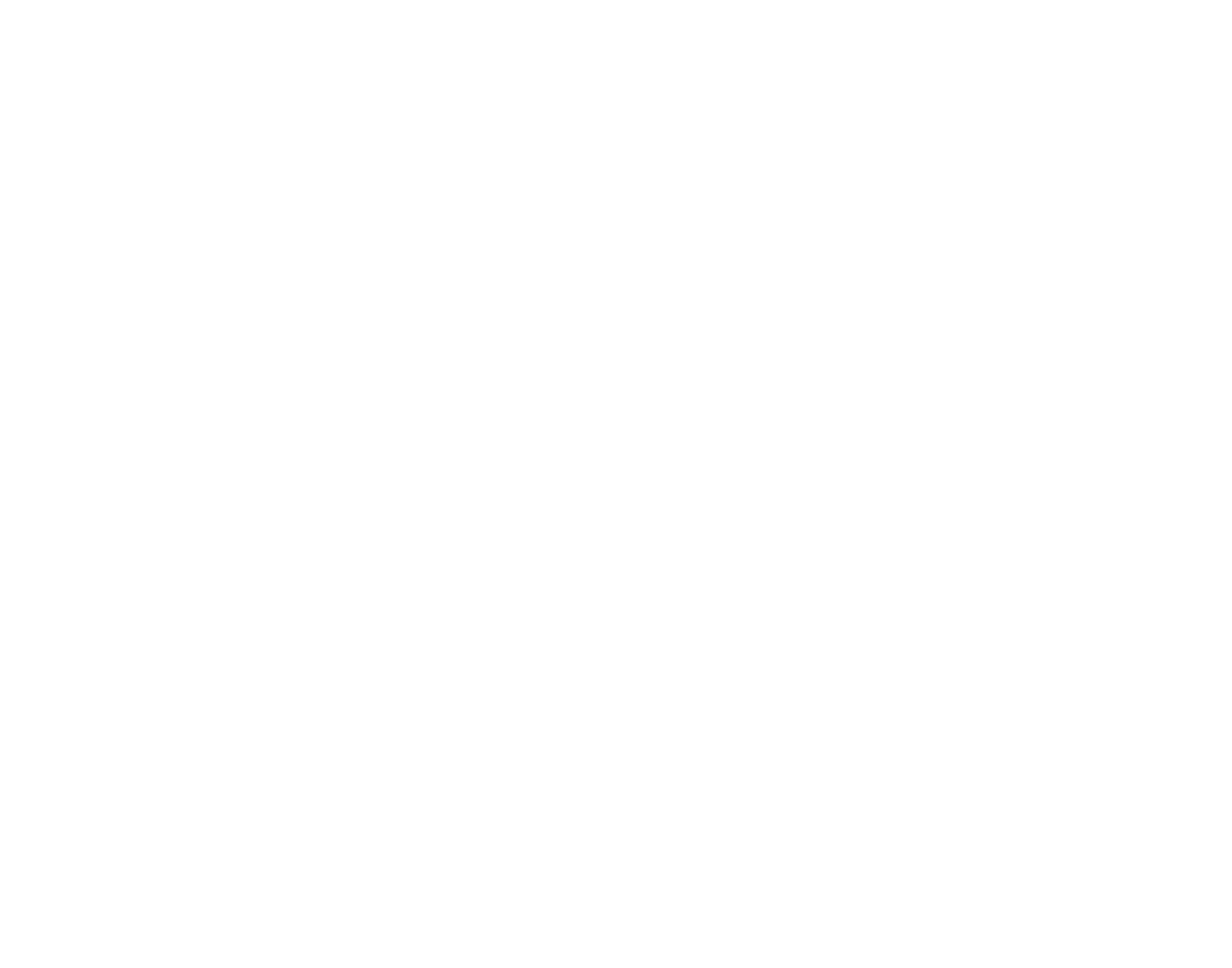 Rogue Mountain Marketing + Media