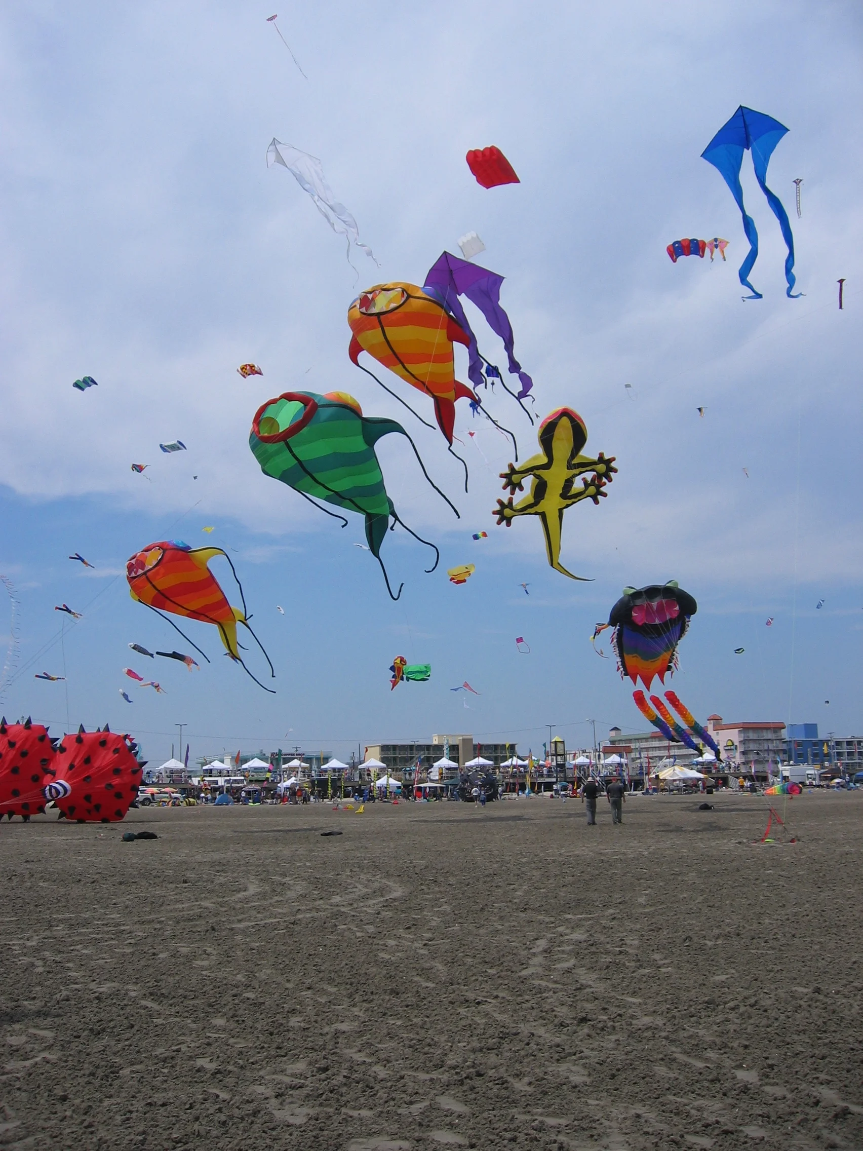 IMG_0898.JPG
