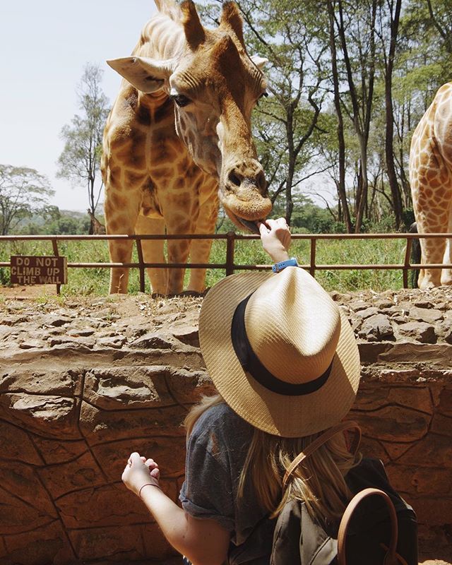 feeding giraffes in africa... is this a dream?! _________________________________________
#blogger #travel #travelblogger #wheelchairtravel #accessiblevacations #accessibletravel #travelphotography #photooftheday #safari #africansafari #iphone #iphon