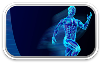wellness33.png