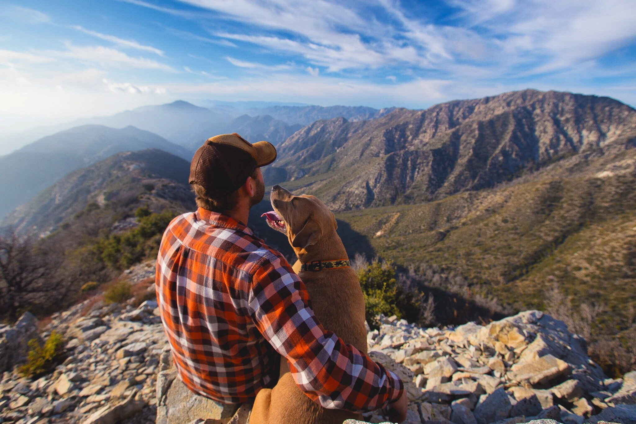 mans-best-friend_t20_6wkzz9.jpg