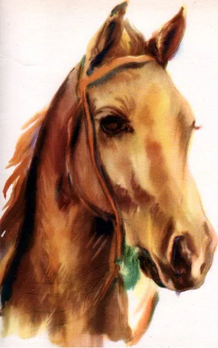 Portrait.jpg