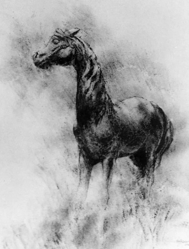 HorseBW.jpg