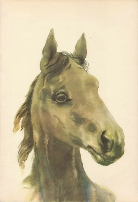 Portrait2.jpg