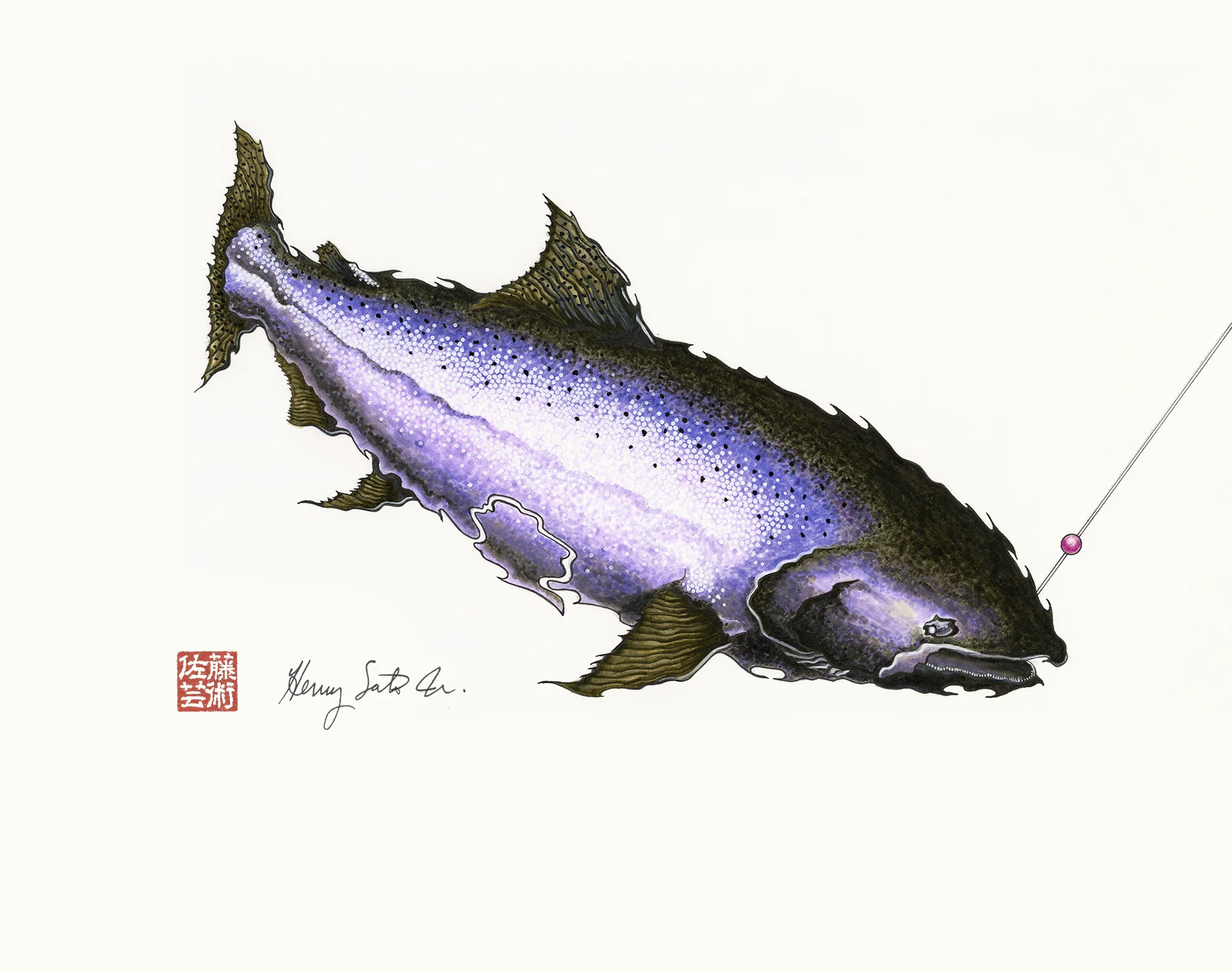 Chinook Salmon