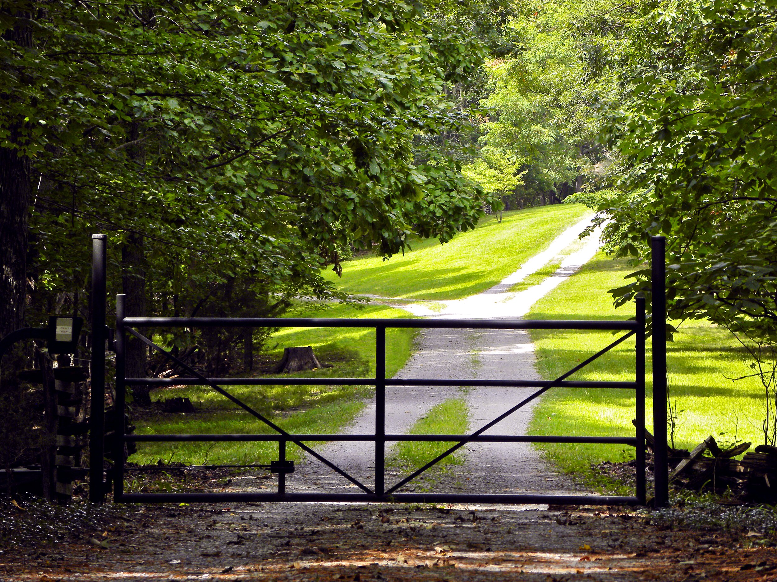 LT A driveway in.JPG