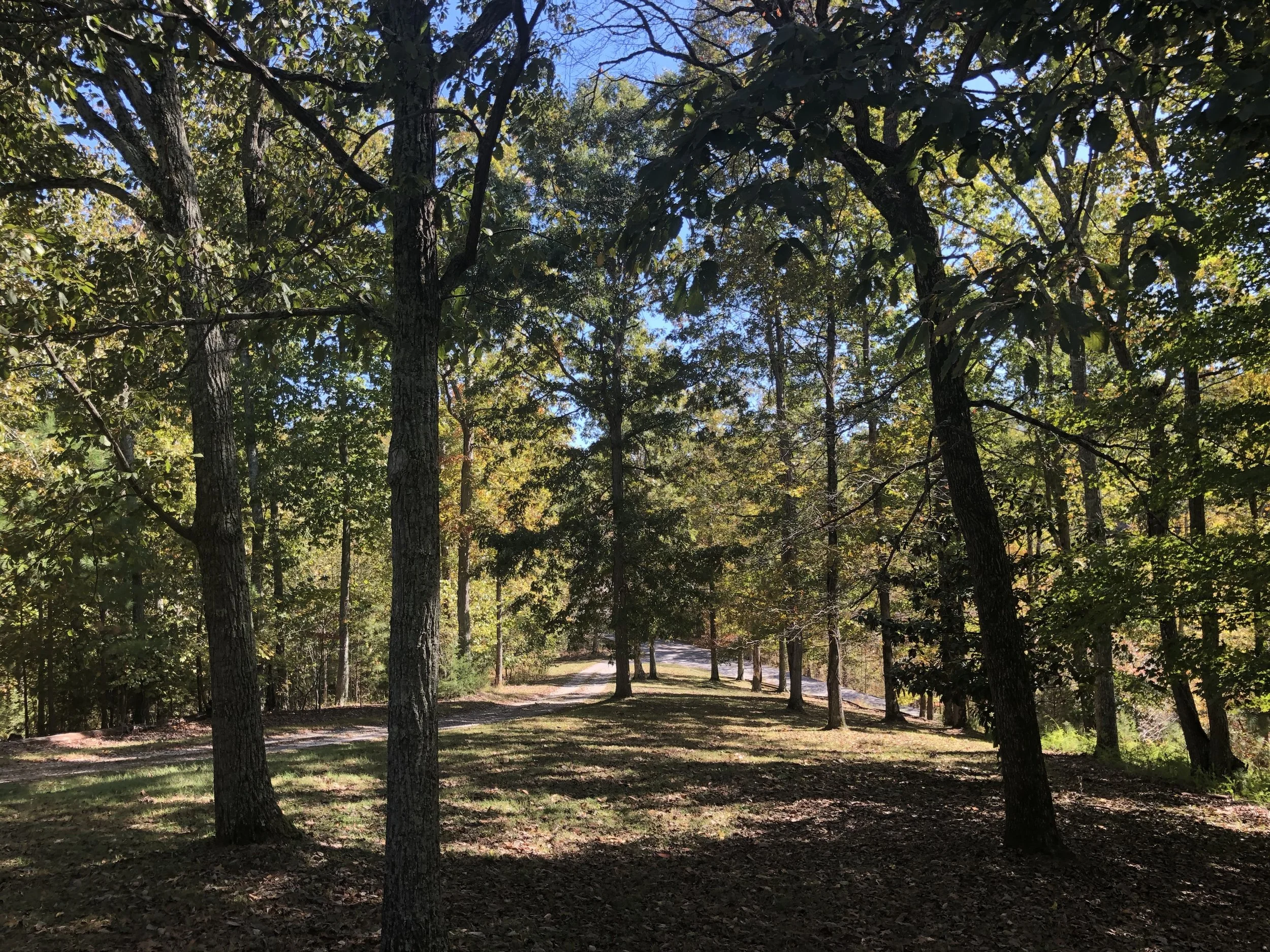 LCOS view to driveway.JPG