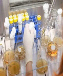 Moneycontrol: India’s Microbiome Moment: Where science meets tradition