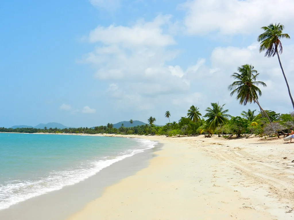 A long, gorgeous bay facing the Caribbean Sea with hundreds of palm trees dancing to the wind…