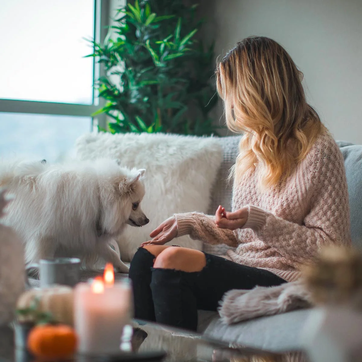 girl in sweater with pet dog on the couch