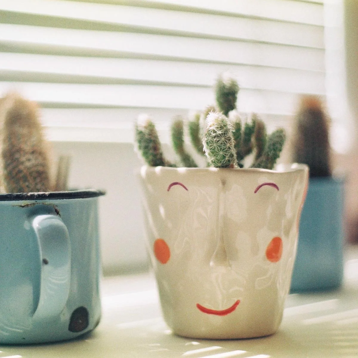 cacti plant in a happy face ceramic pot