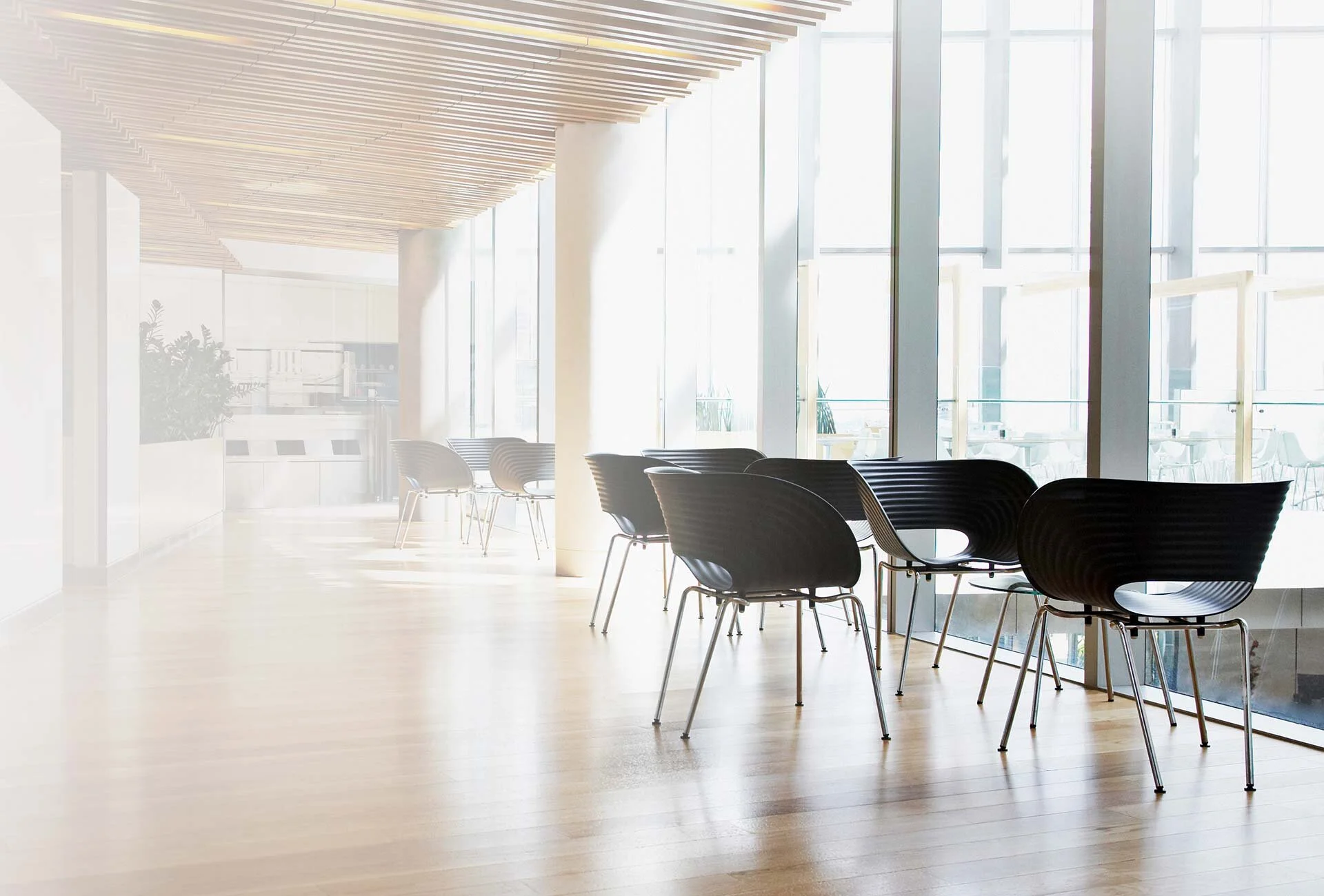 Office Cleaning Services