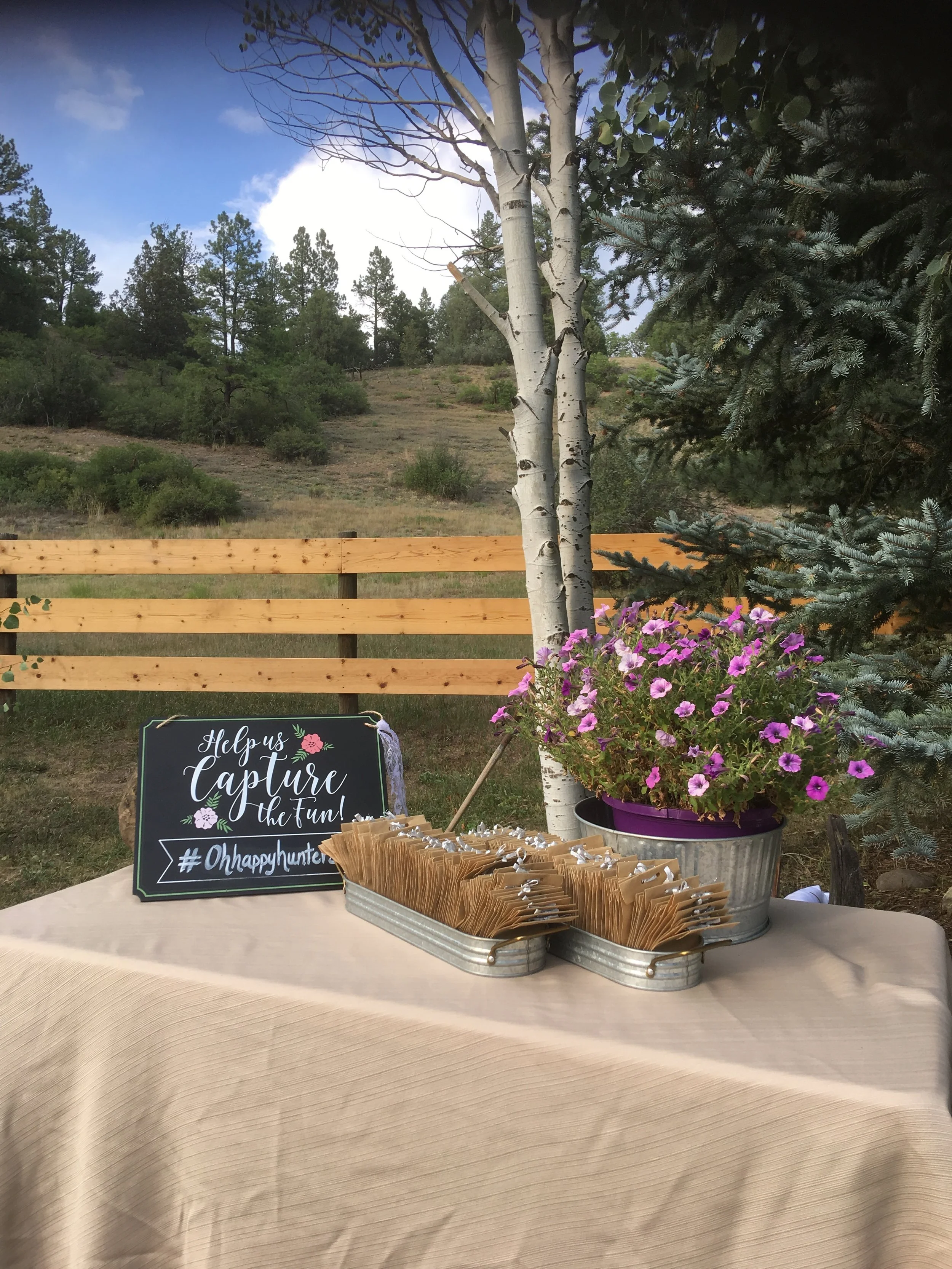 mountain wedding decor favors table seed packets