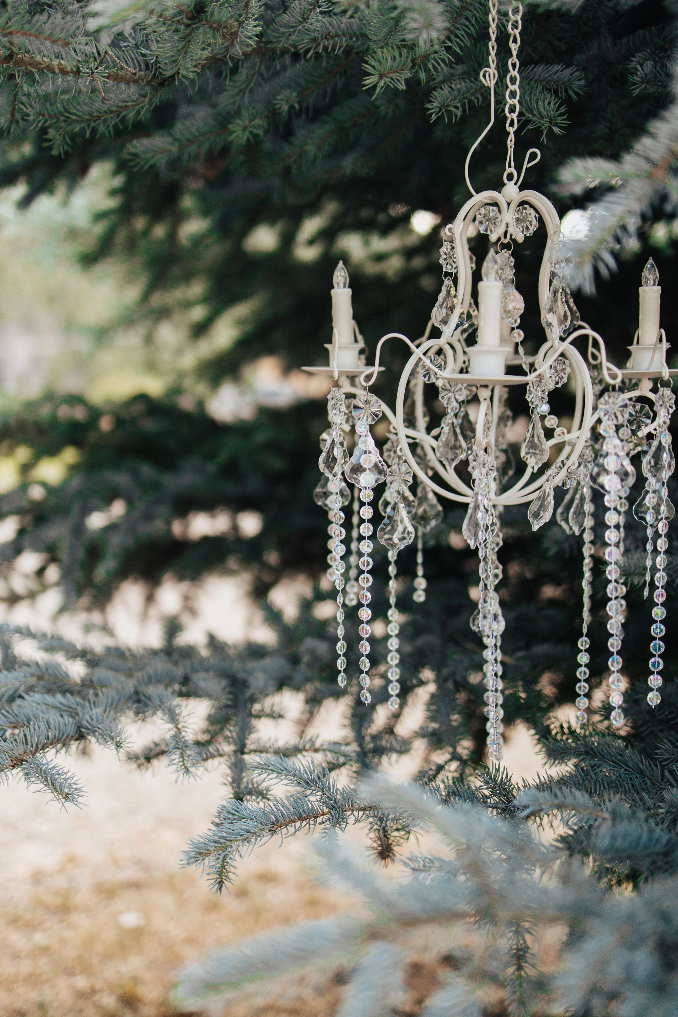 DietzWedding-14.JPG
