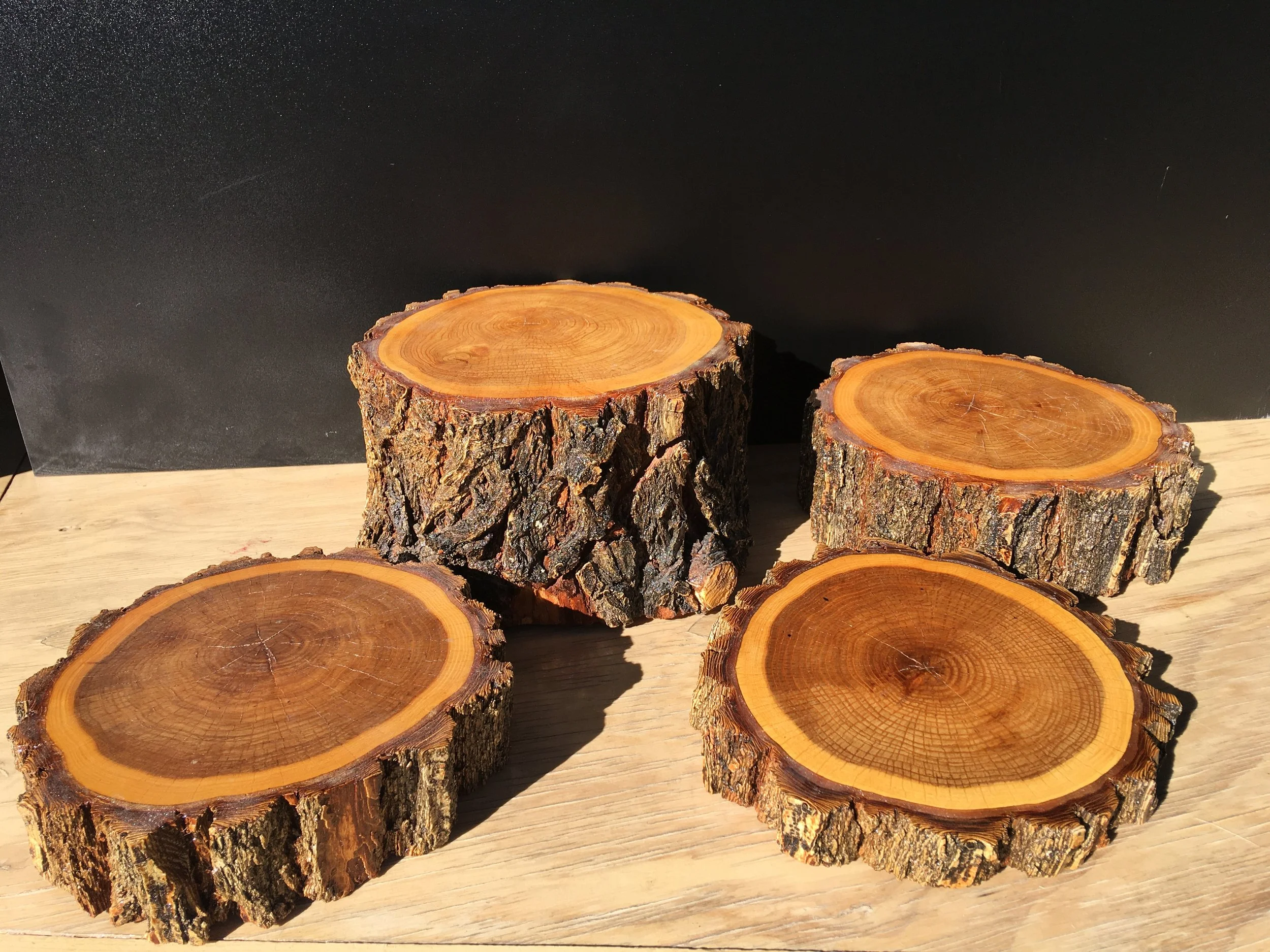 4 Ponderosa pine logs sweets displays