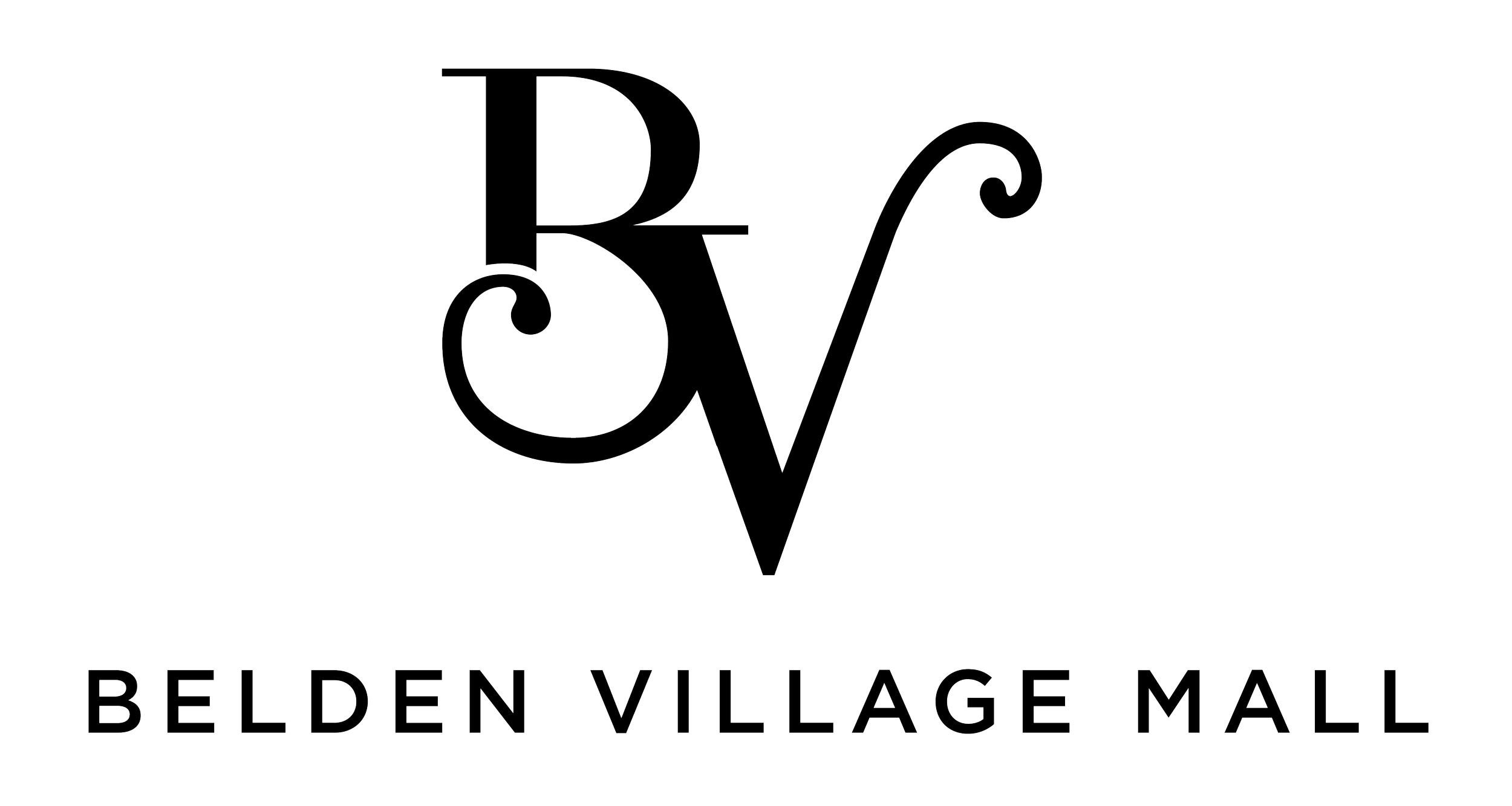 BV Logo-04.png