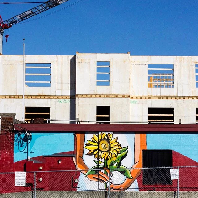 Mural wall 2 out of 2 completed for Allston and Brighton APAC Child and Family Services Center. 🌞🌻 Check out the first post/video for full story of the mural/process! Painted with spray paint. .
.
.
.
.
#bostonmurals #bostonarts #bostonstreetart #s