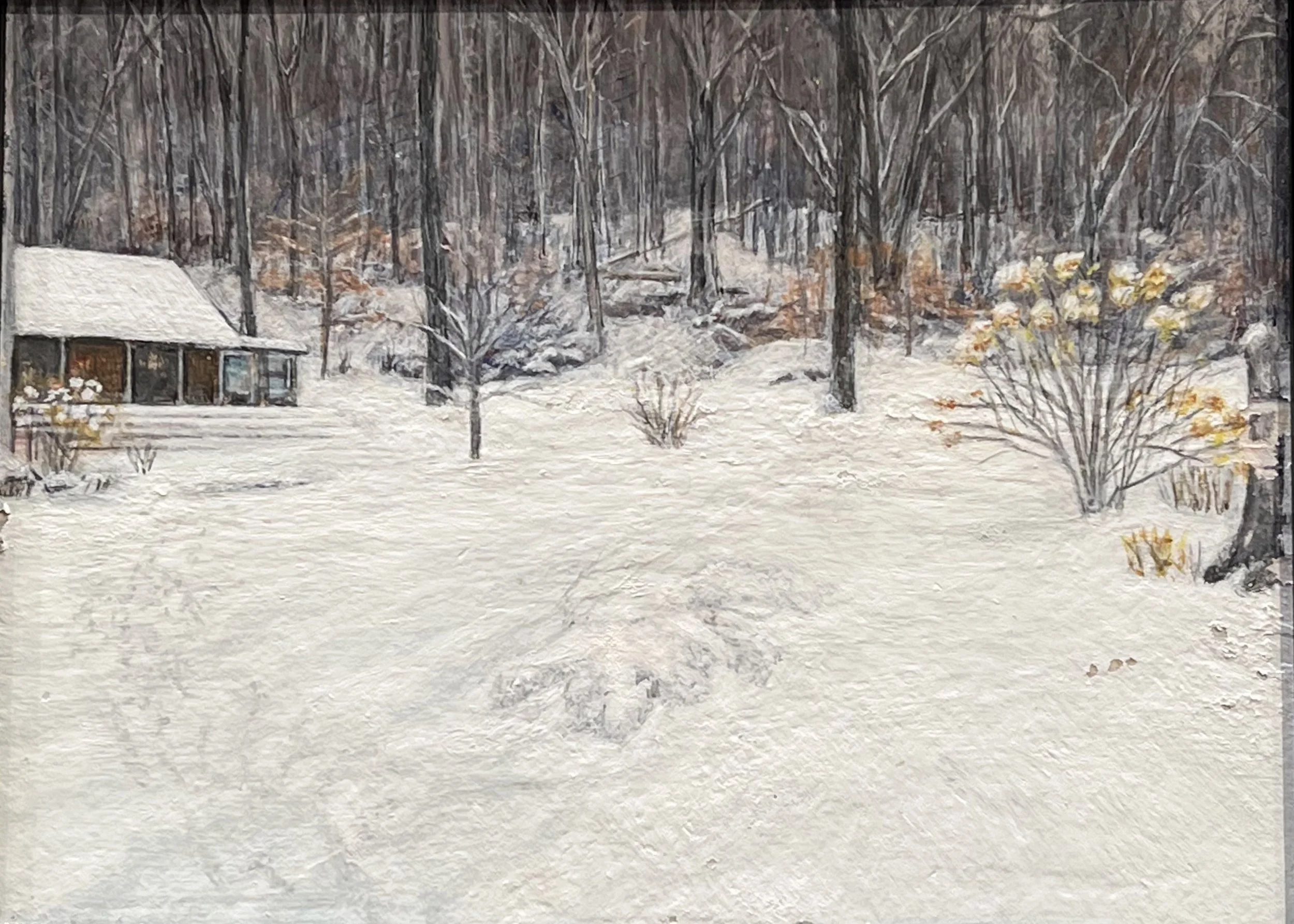 Maria Catalan 6.jpeg