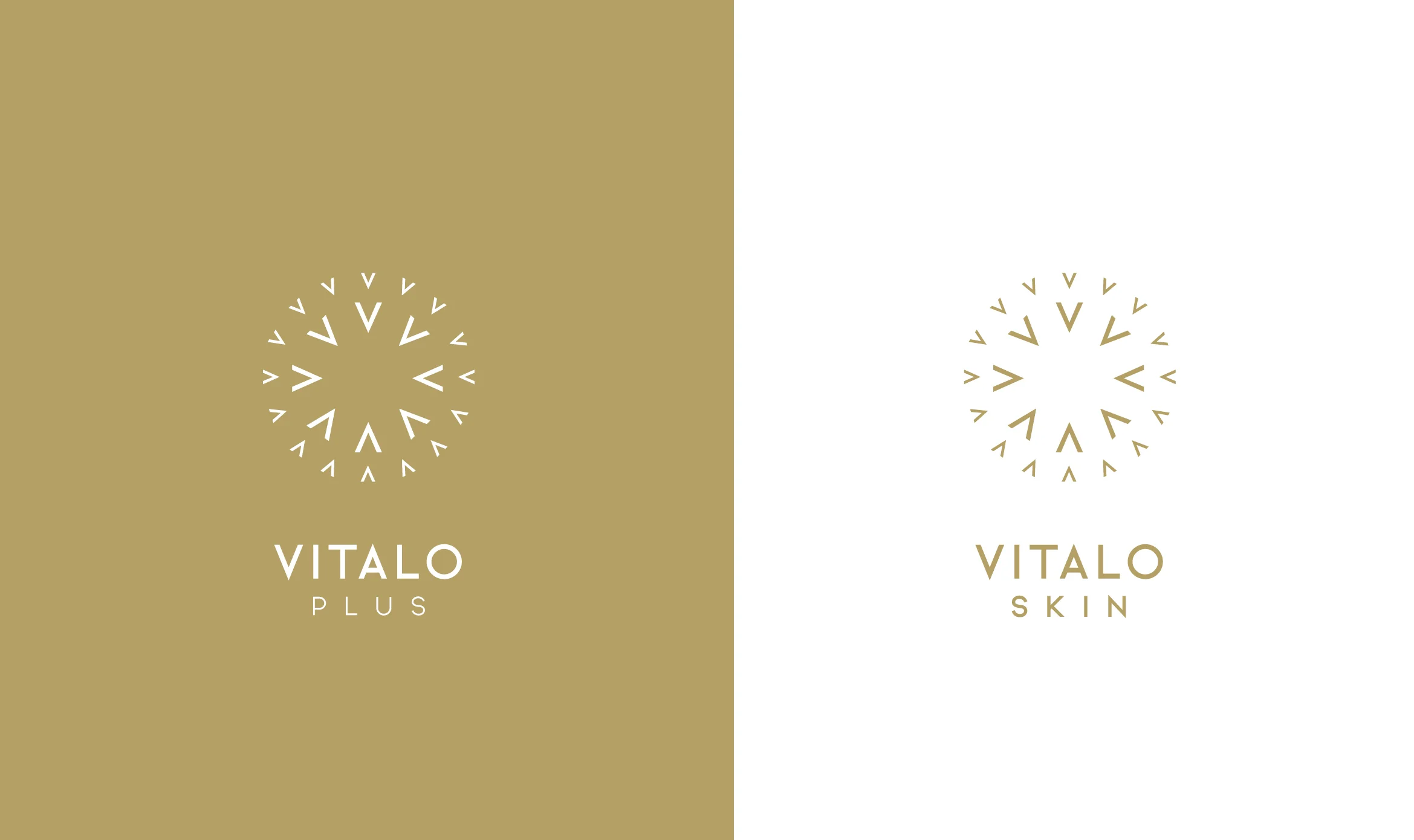 Vitalomed3.jpg