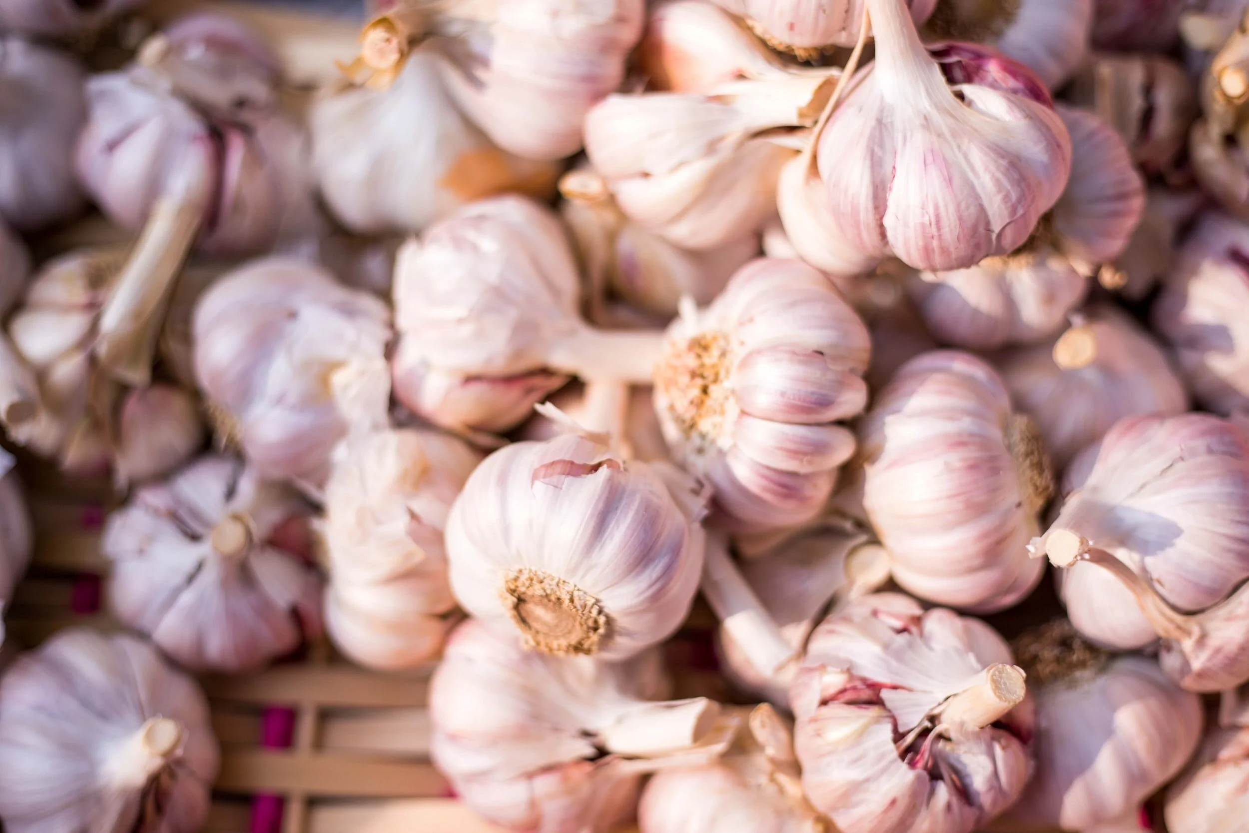 Garlic is a powerful herb for heart health.