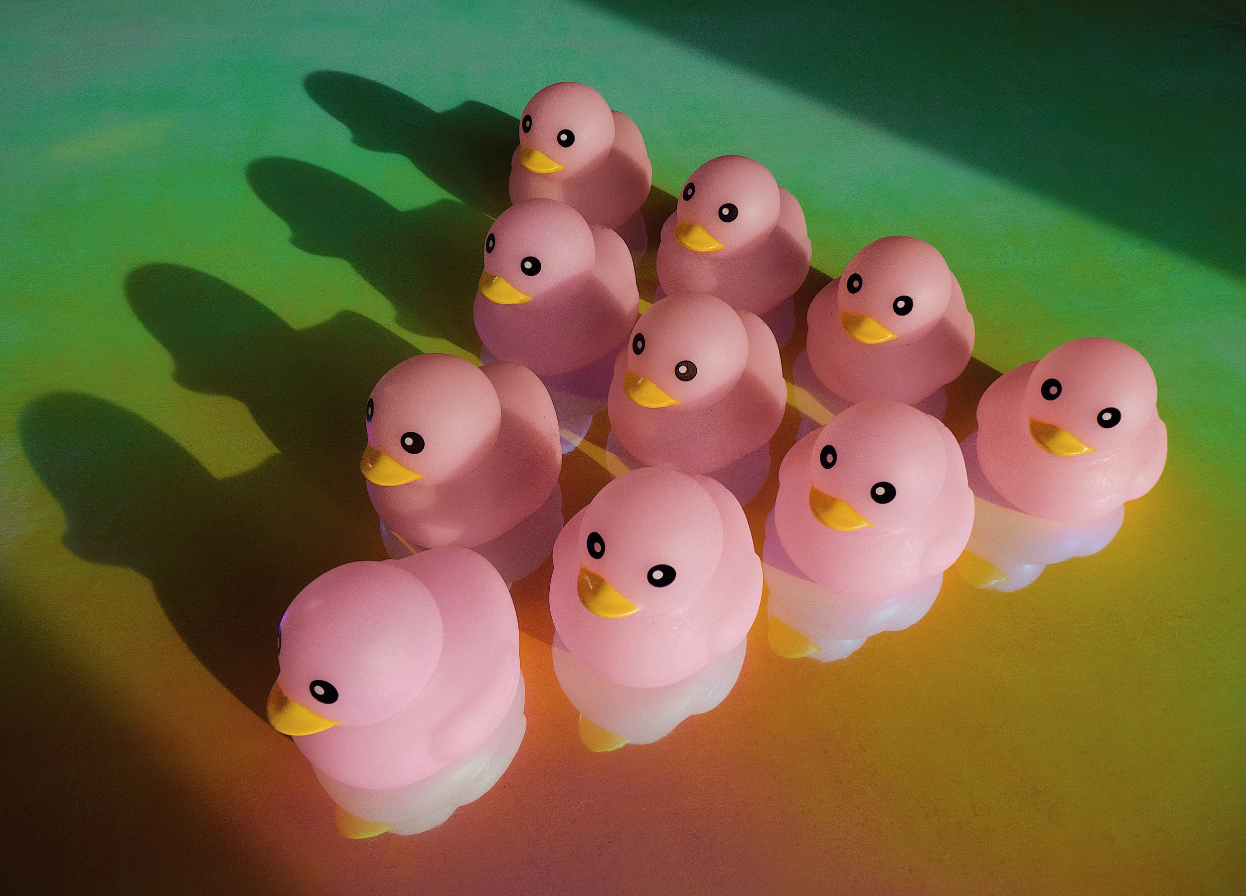 Ducks.JPG