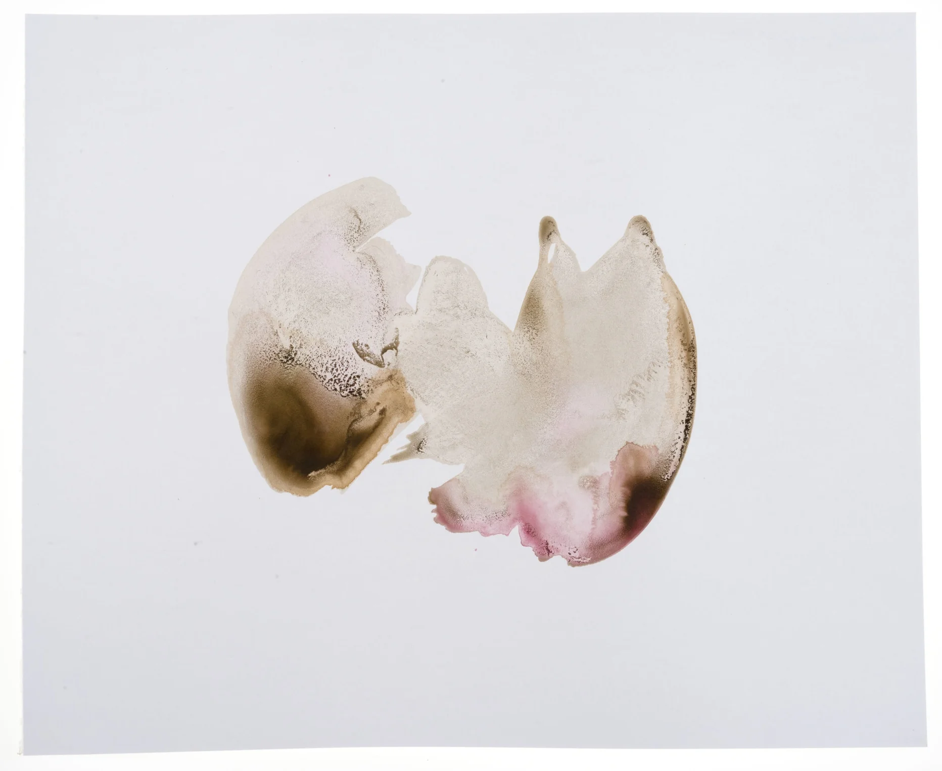 Flutter (For Leo), 2016.