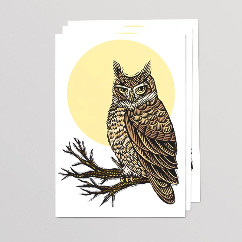 Wise Owl 5x7 Cards