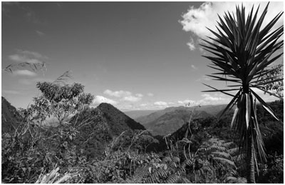 A World Much Different