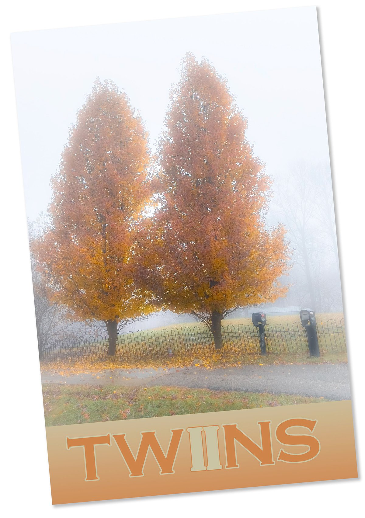 Twins_Cover.jpg
