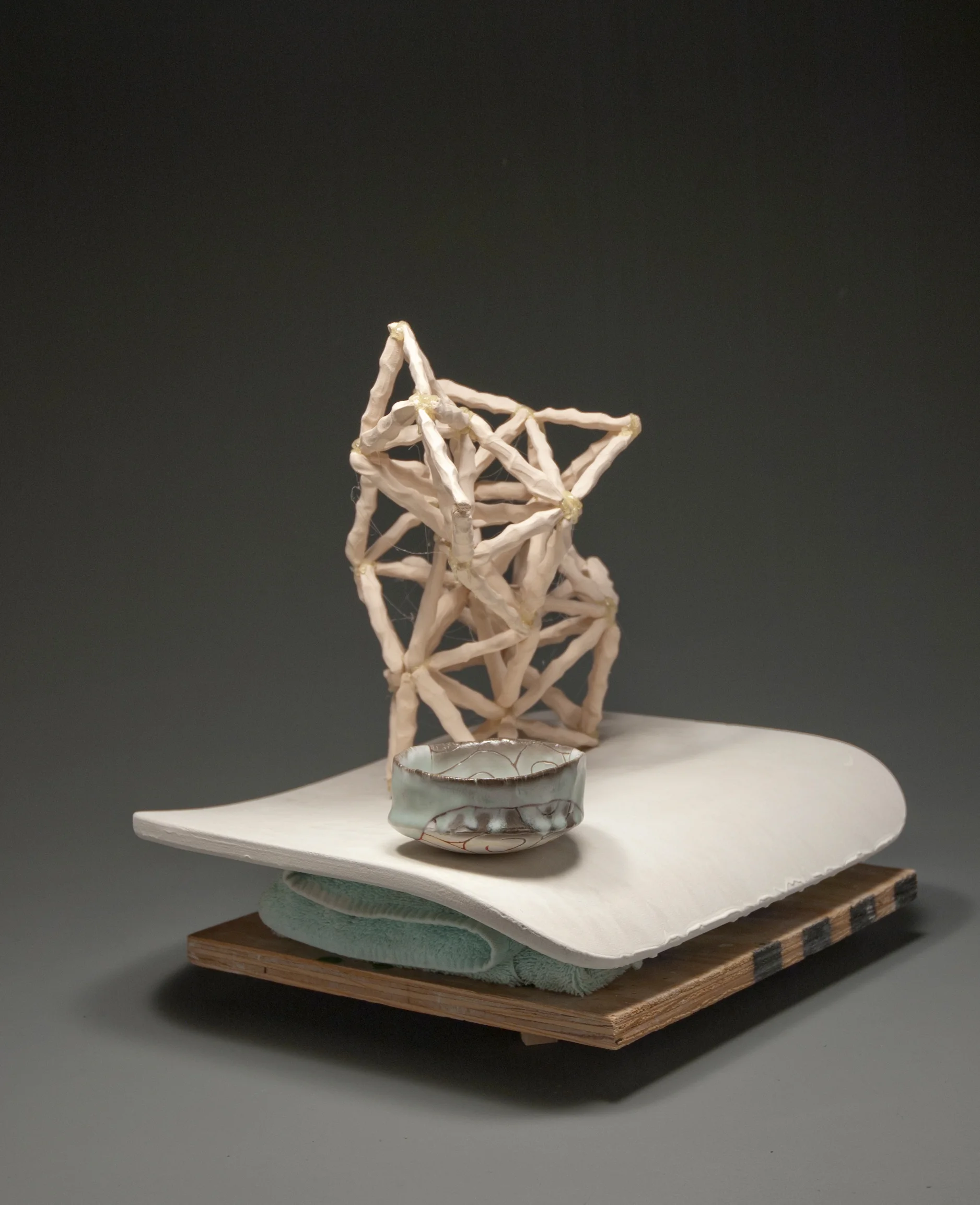 Ian Meares - Domestic Animal - Profile Detail.jpg